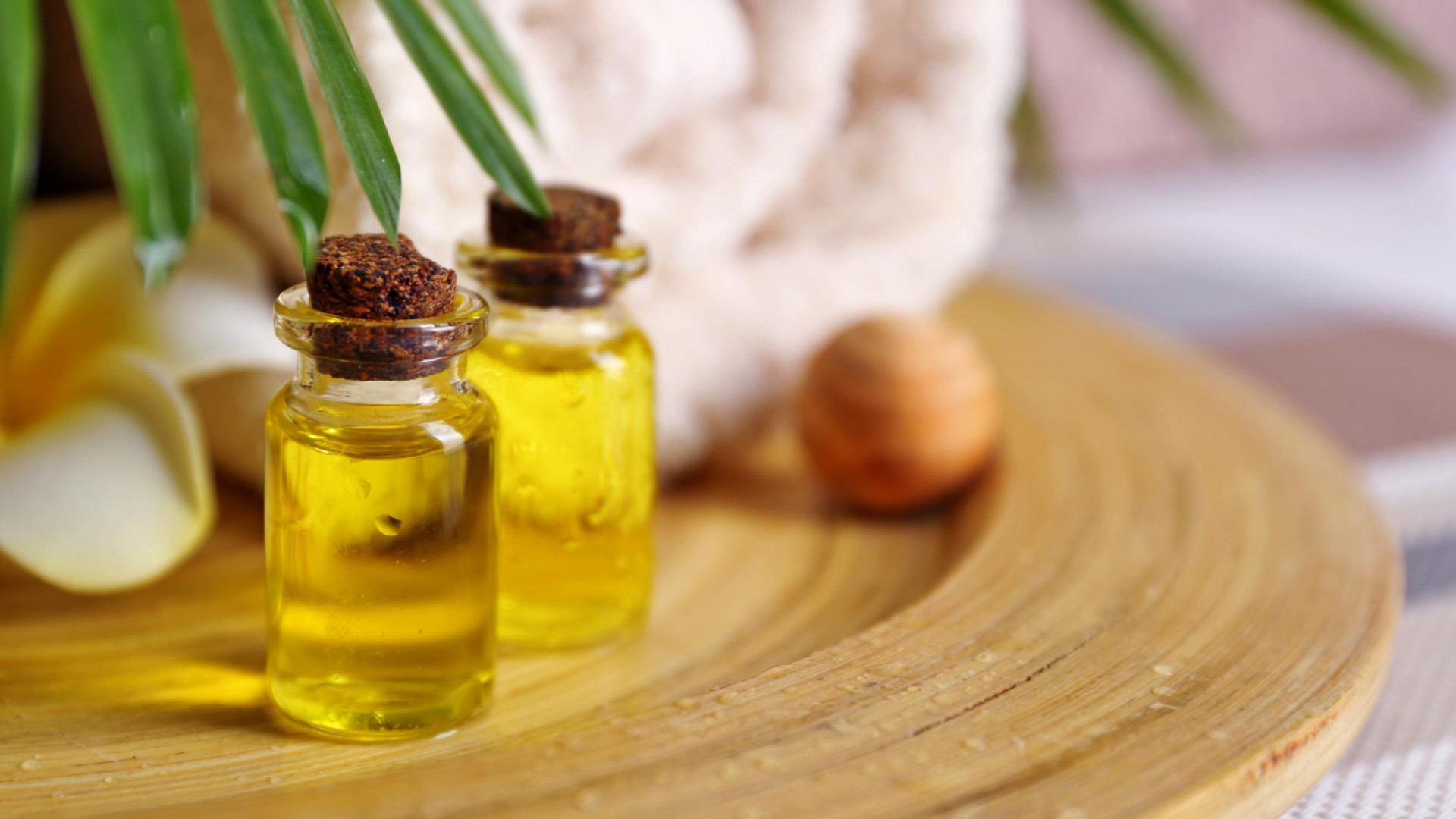 Bien-être naturel : pourquoi intégrer le CBD à ses habitudes ?